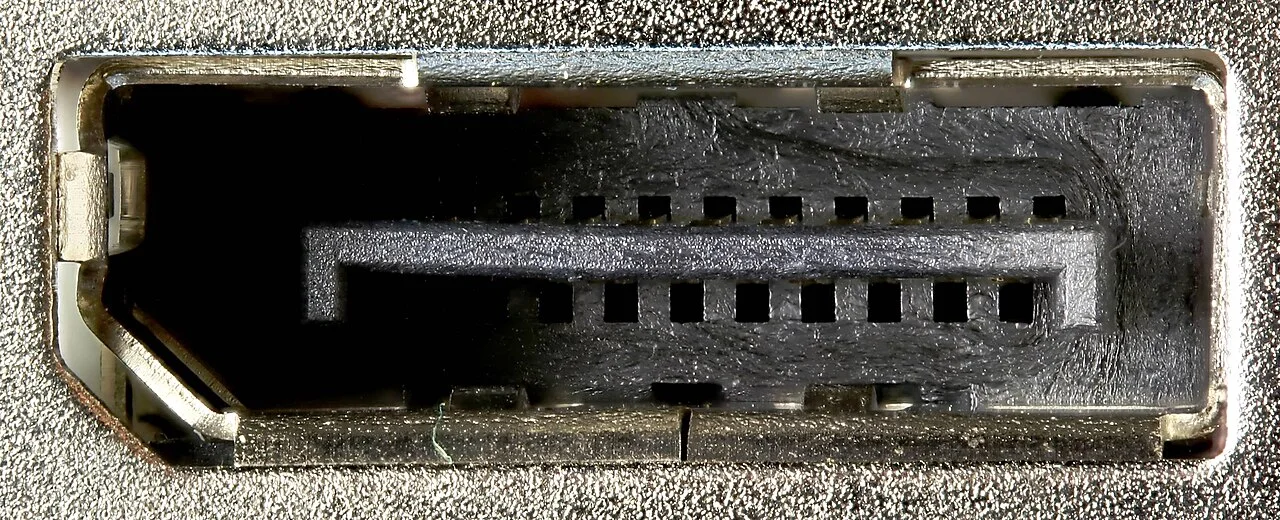 그래픽 카드의 표준 DisplayPort 단자 실물 확대
